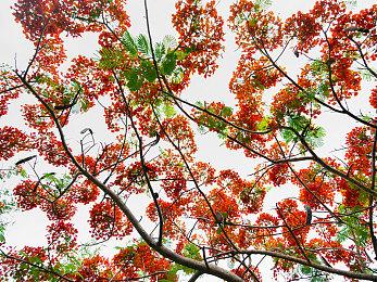 新《使命召唤》皮肤引争议：老皮肤改改再卖一次